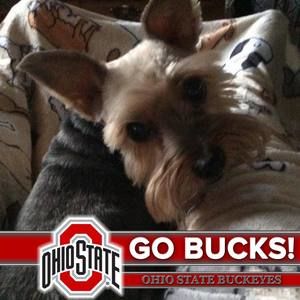 Meet your Posher, Teresa